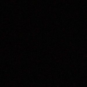 Meet your Posher, Max